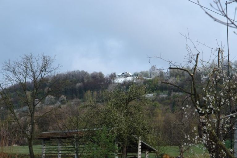 dobrava1.jpg