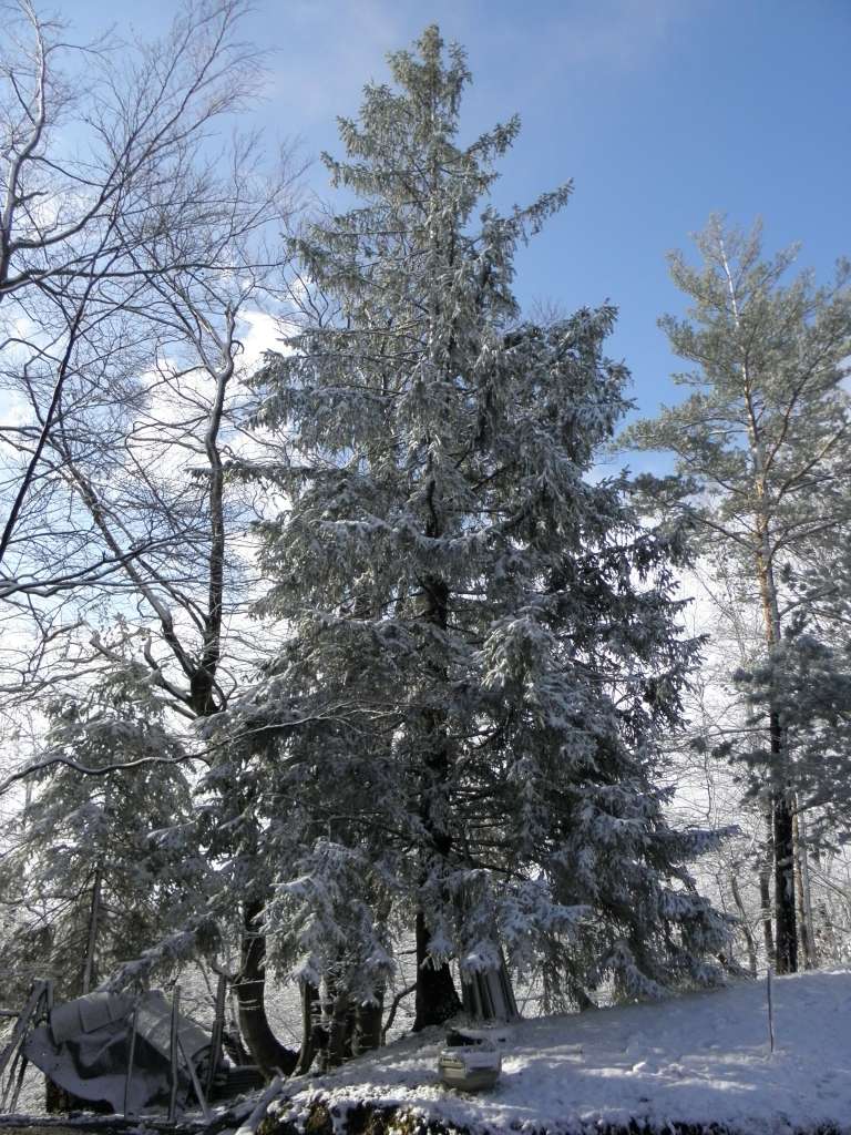004_000.jpg