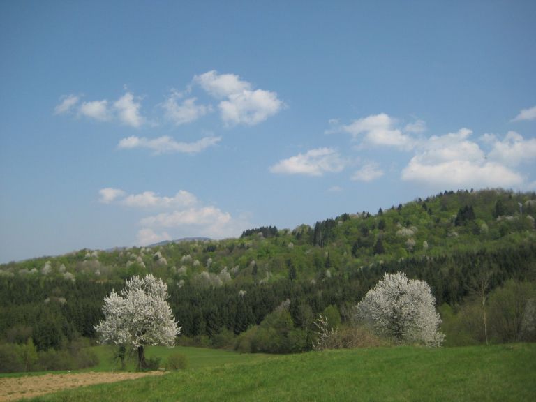obronki_003.jpg