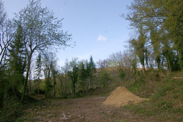 imgp2234.jpg