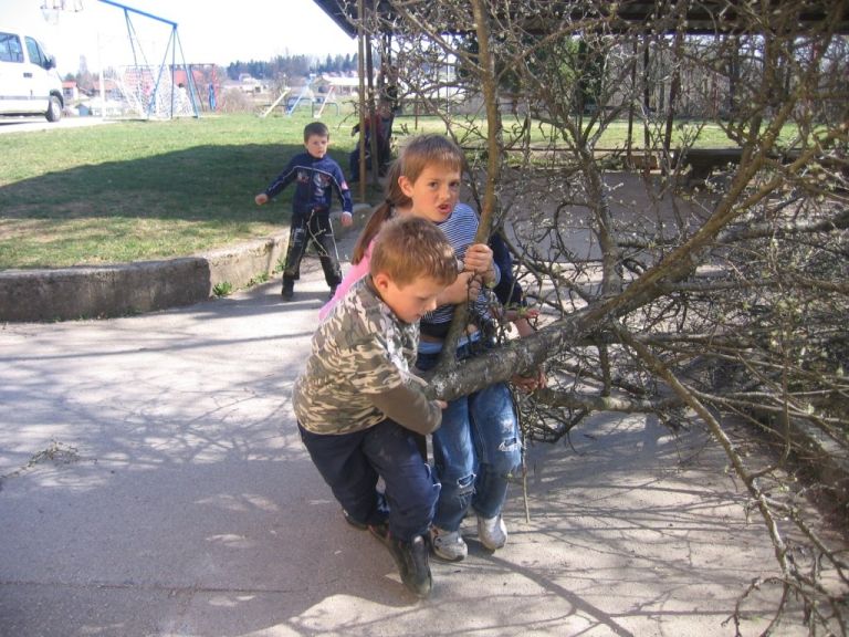 drevesa_004.jpg