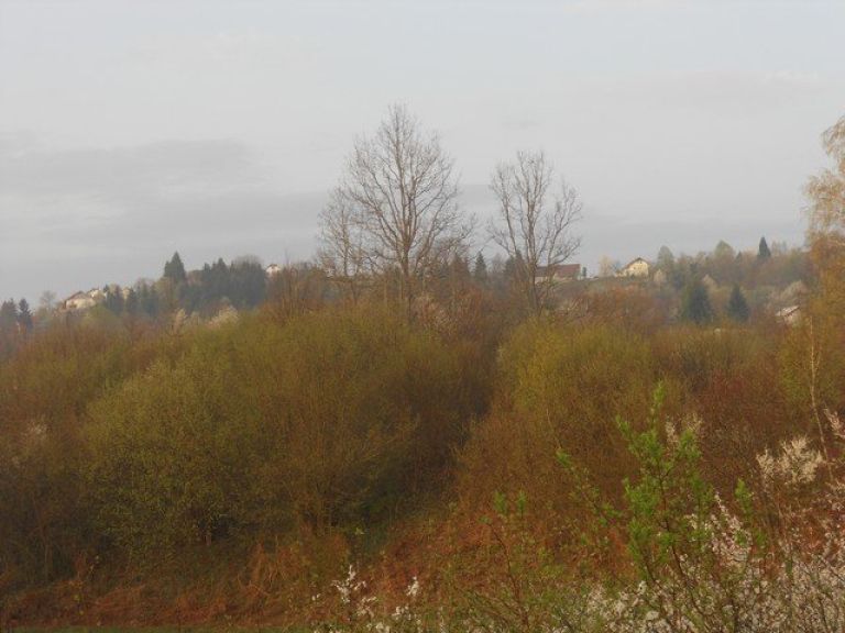 dscn2056_000.jpg