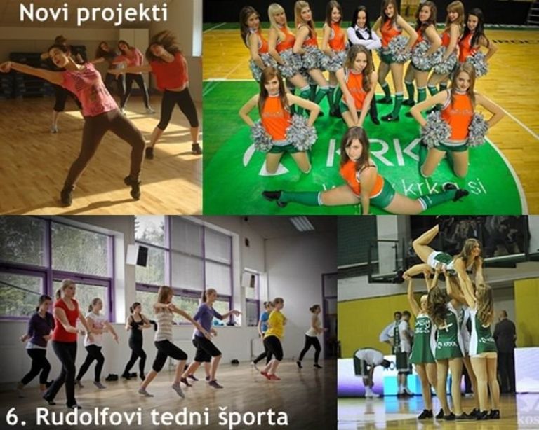 daisy_mozaik_rts_2012.jpg