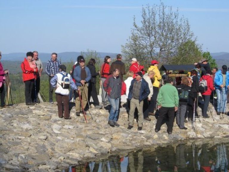 gozdna_u__na_pot_044.jpg