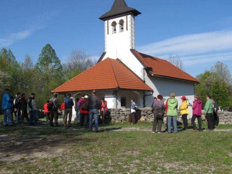 gozdna_u__na_pot_042.jpg
