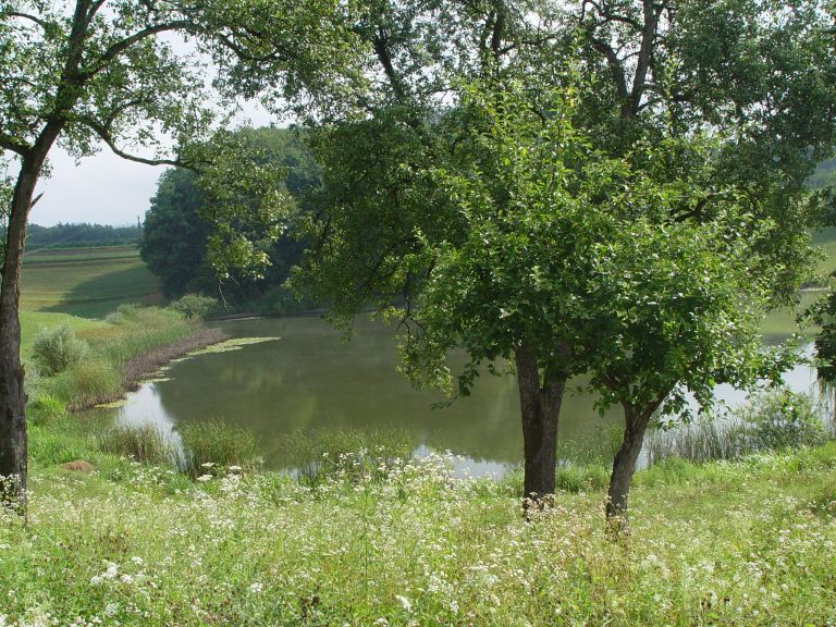 stritovsko_jezero.jpg