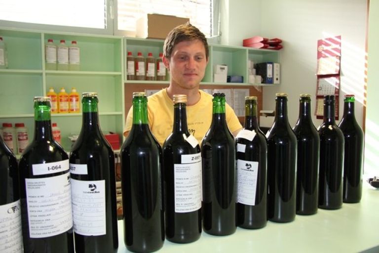 ocenjevanje_teden_cvicka.jpg