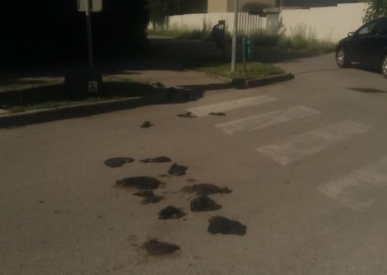 naslovna.jpg