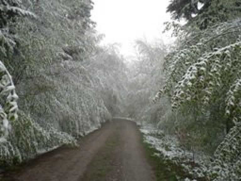 sneg_003.jpg
