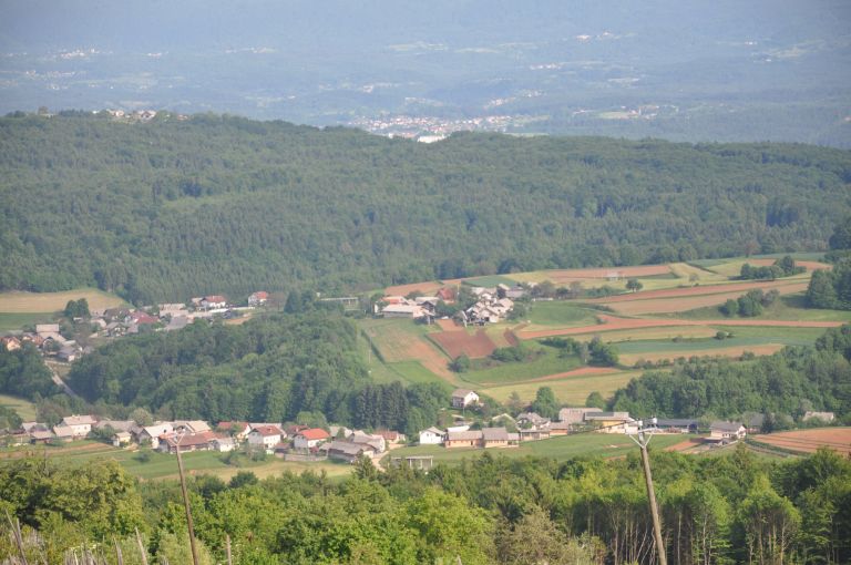 golobinjek11_5_12_032.jpg