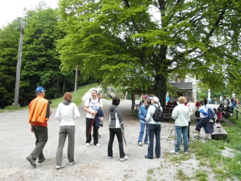 mirna_gora_040.jpg