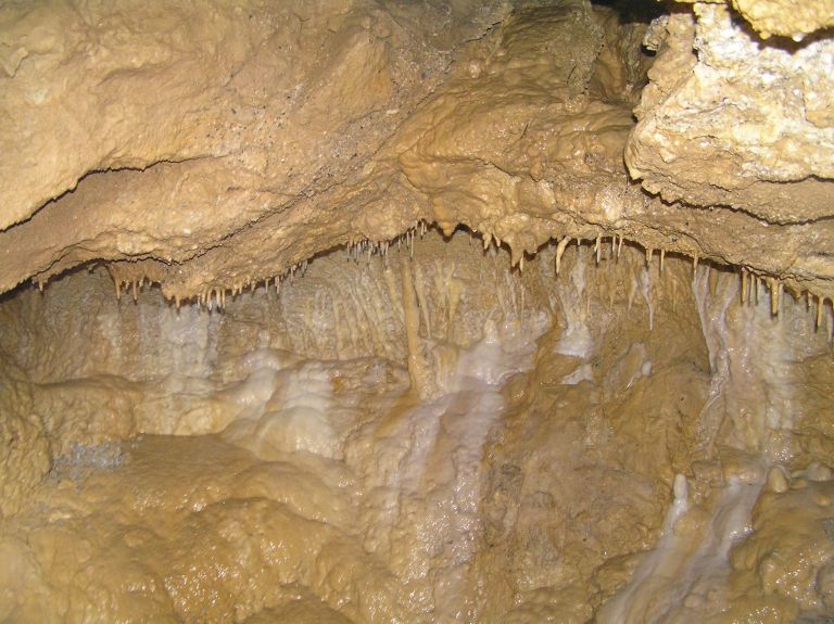 p5270001_000.jpg