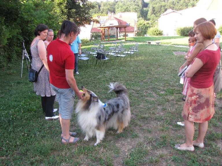 img_7694.jpg