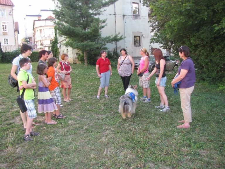 img_7686.jpg