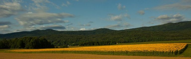 img_9871.jpg