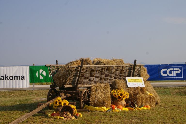 sejem001.jpg