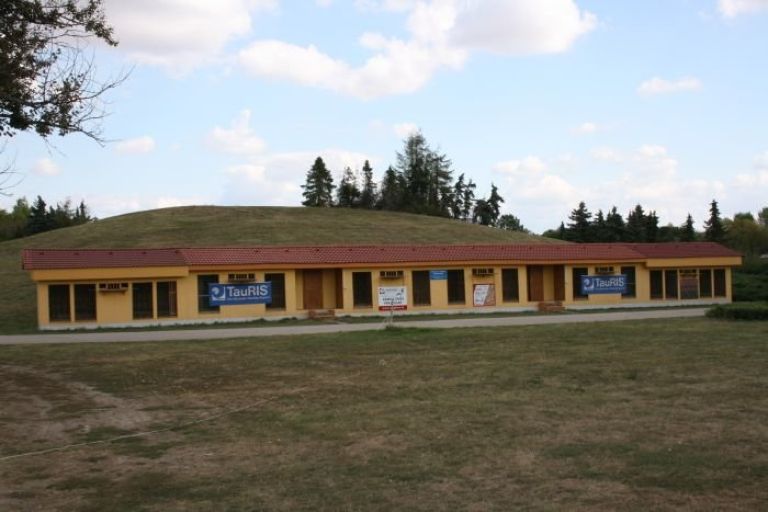 golobi_3.jpg