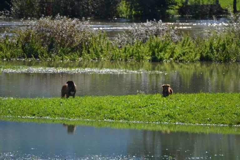 poplave0001.jpg