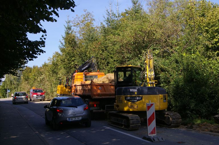 brezovica001.jpg