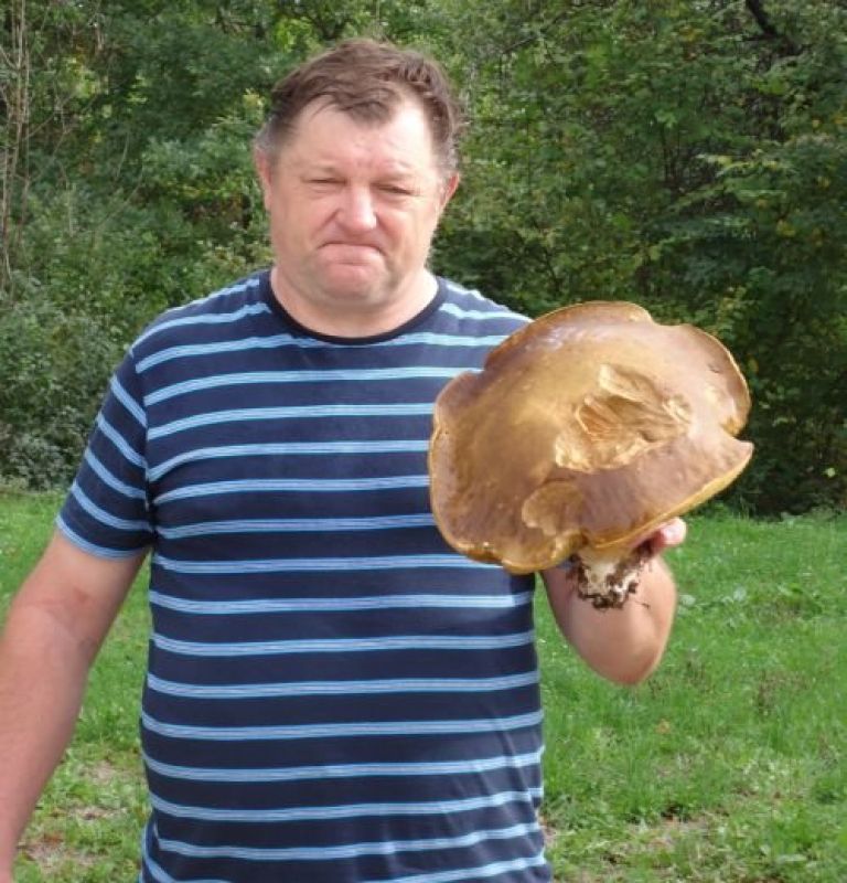 goba1.jpg