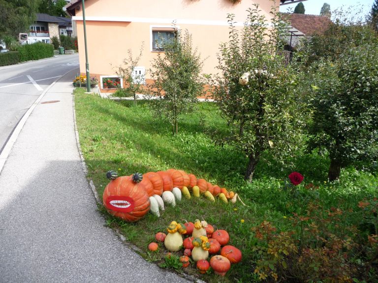 bu__ni_aran__maji_2012_110.jpg