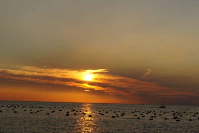 trst_2012_329.jpg