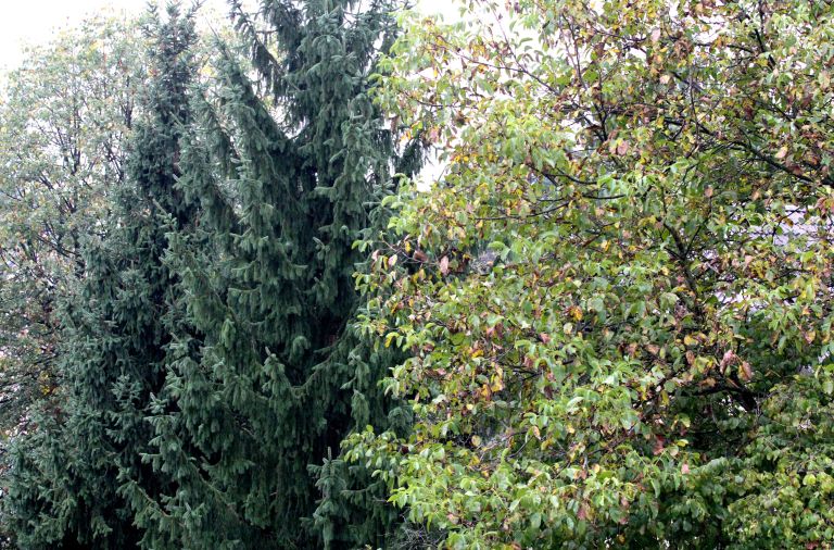 20121010_1282.jpg