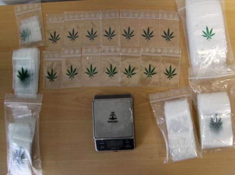 zaseg_droga.jpg
