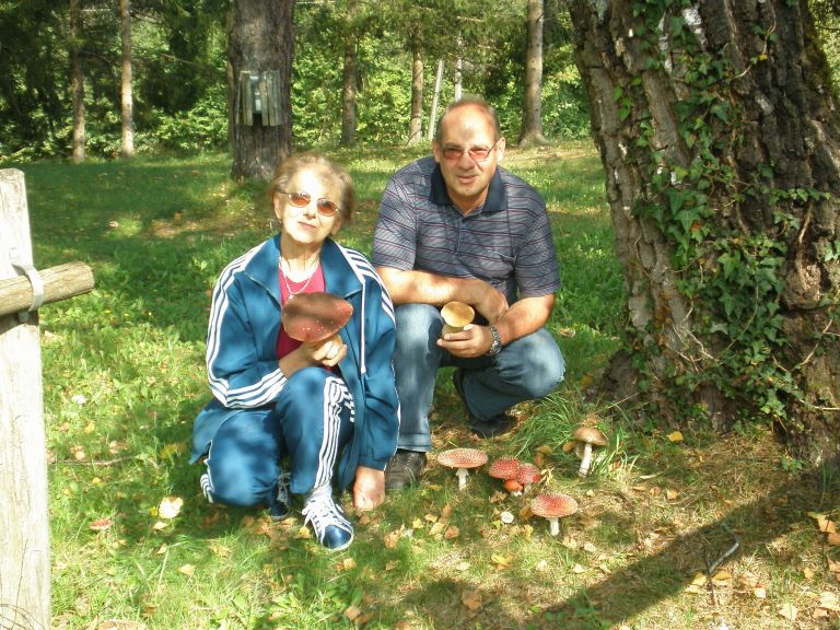 pa050006_000.jpg