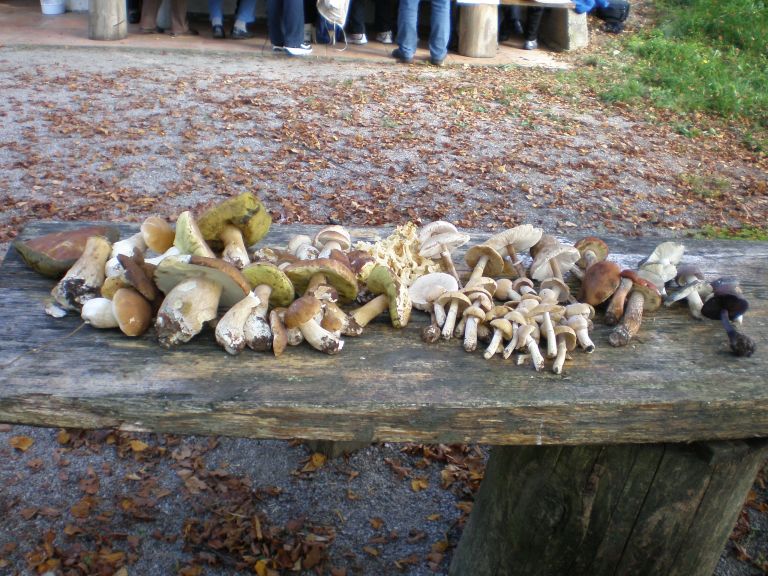 pa050009_000.jpg