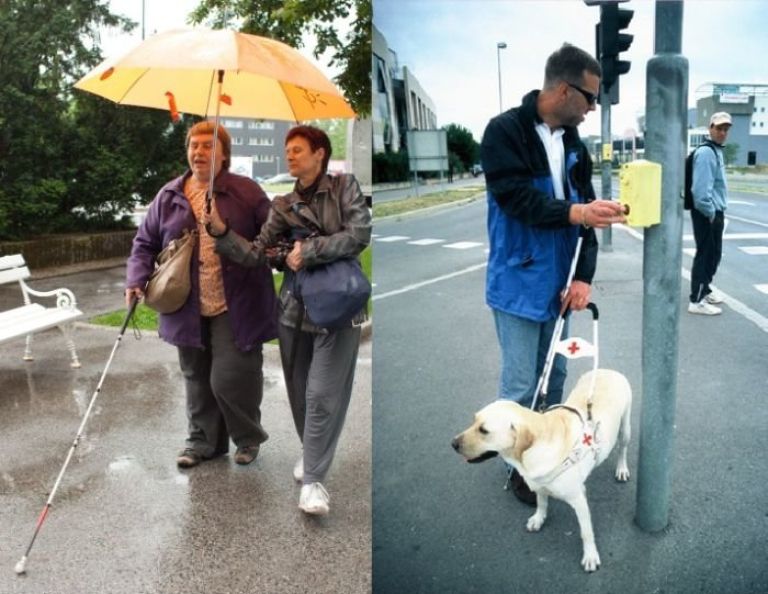 bela_palica.jpg