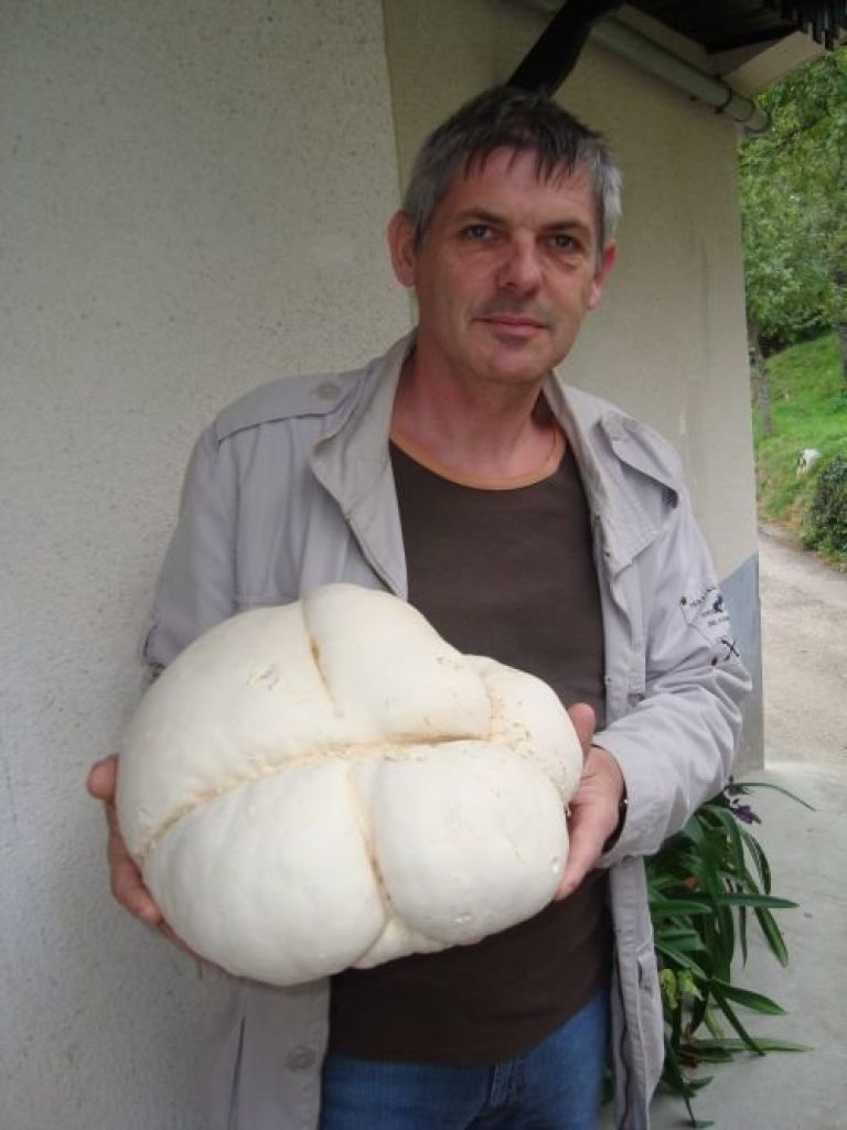 prasnica2.jpg