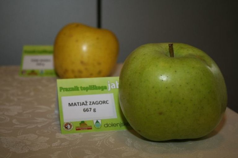 img_9619_000.jpg