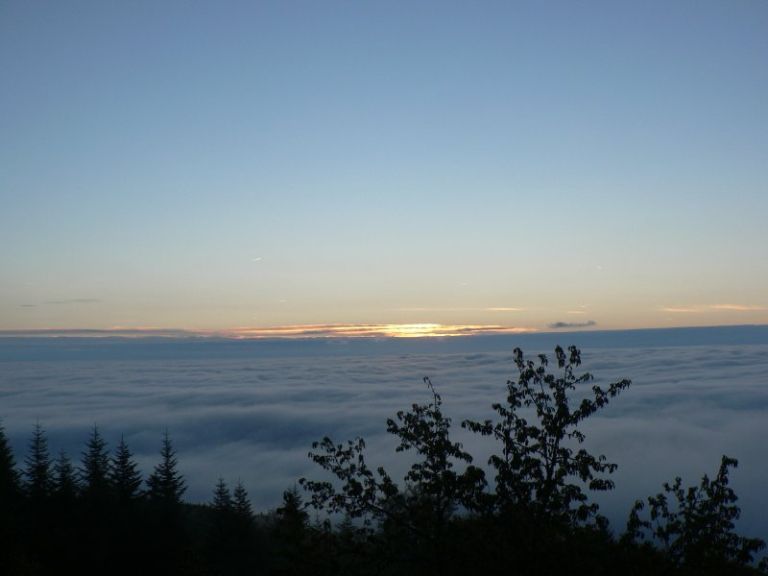 c_piknik_026.jpg