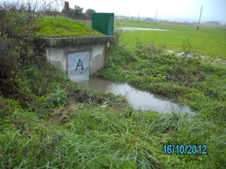 brezina_013.jpg