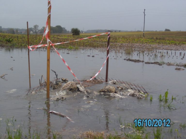 brezina_010.jpg