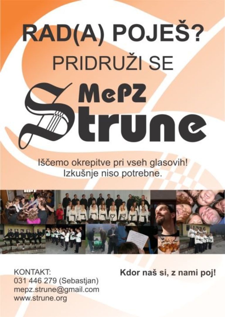 strune_vabilo2012__3_.jpg