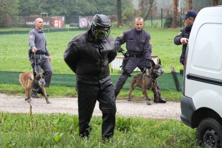 obisk_vlade_bre_ice_038.jpg