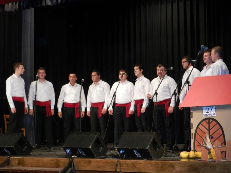 koncert___hi__ica_za_mimico_002.jpg