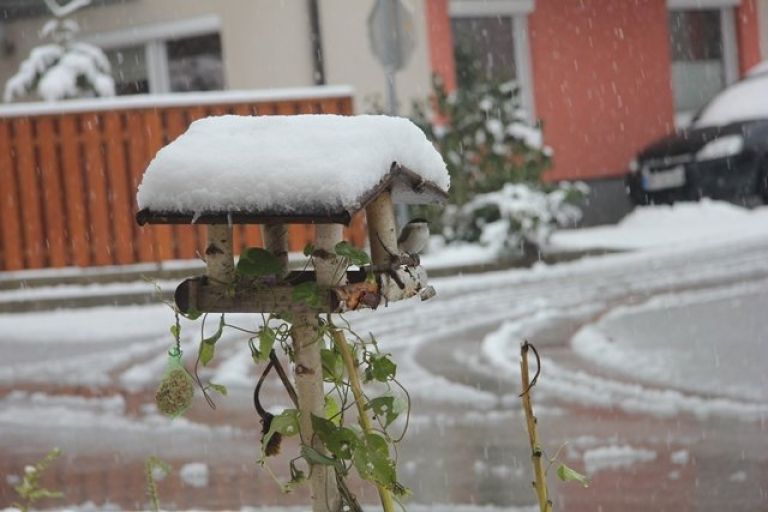 012_sini__ke_vrab__iki_in_ta____ice.jpg