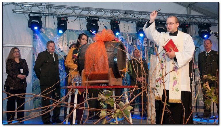 020_martinovanje_2012___rnomelj.jpg