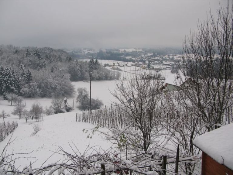 sneg_dec2012_2.jpg