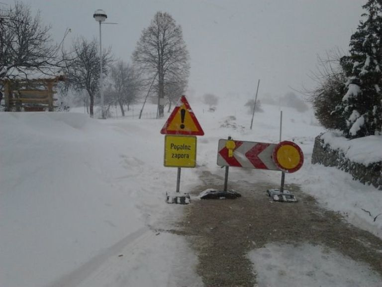 telce1.jpg