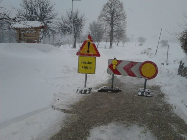 telce.jpg