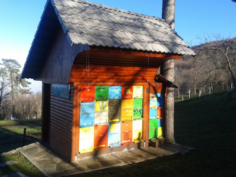 fotografija_1520.jpg