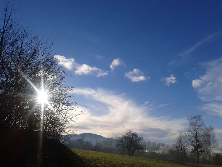 fotografija_1539.jpg