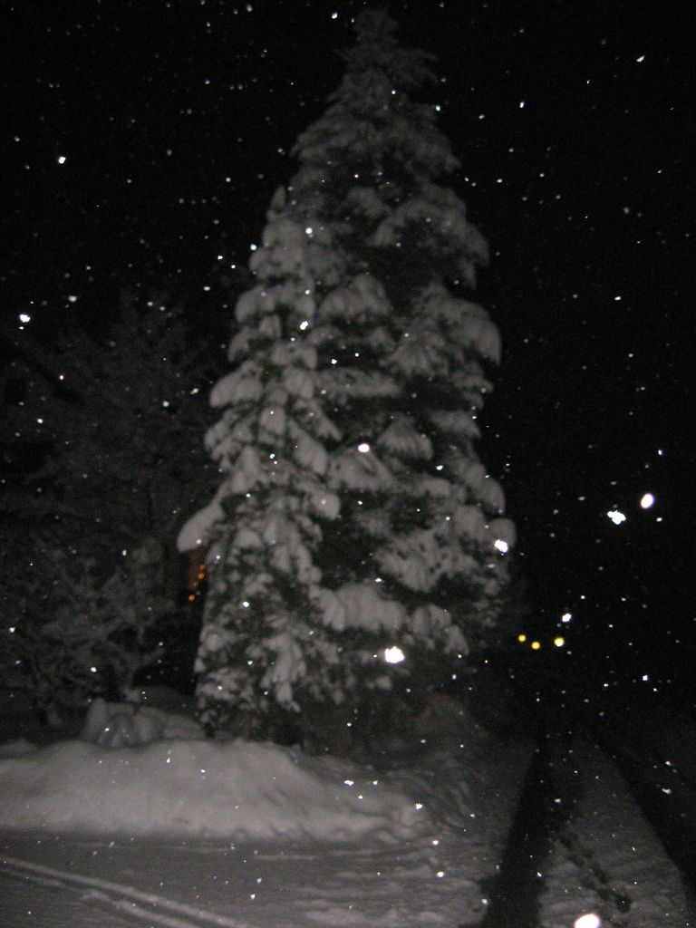 00_idila_001.jpg