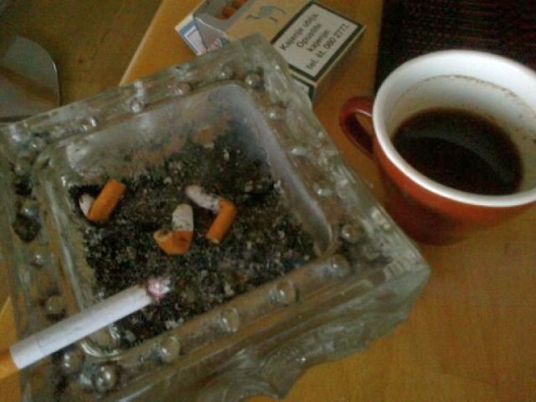 pepelnik_mm.jpg