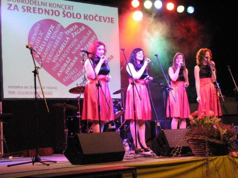 dobrodelni_koncert_pom011.jpg