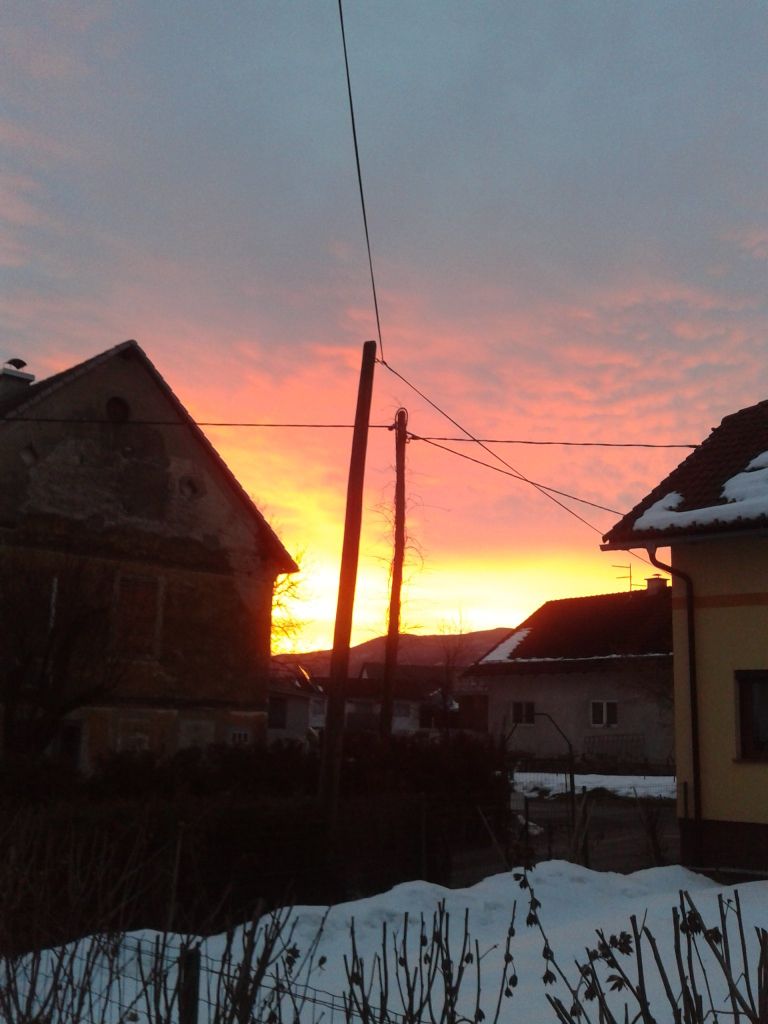 zarja_001.jpg